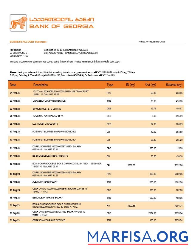 Printable Bank of Georgia business checking account statement Word and PDF templat template